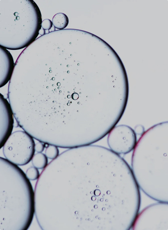 Driving Industrial Safety & Performance