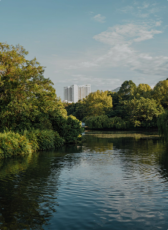 Safeguarding Public Health