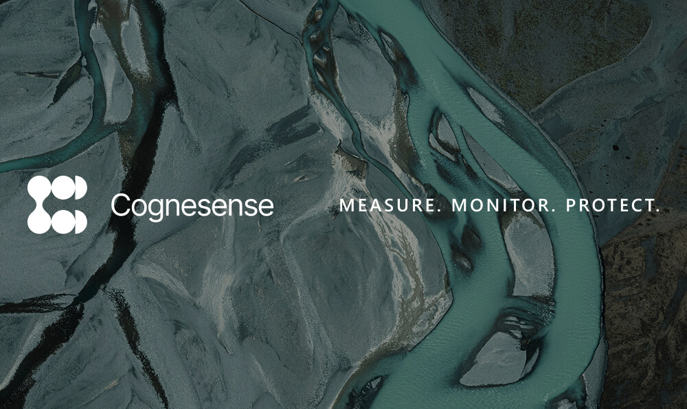 About Cognesense