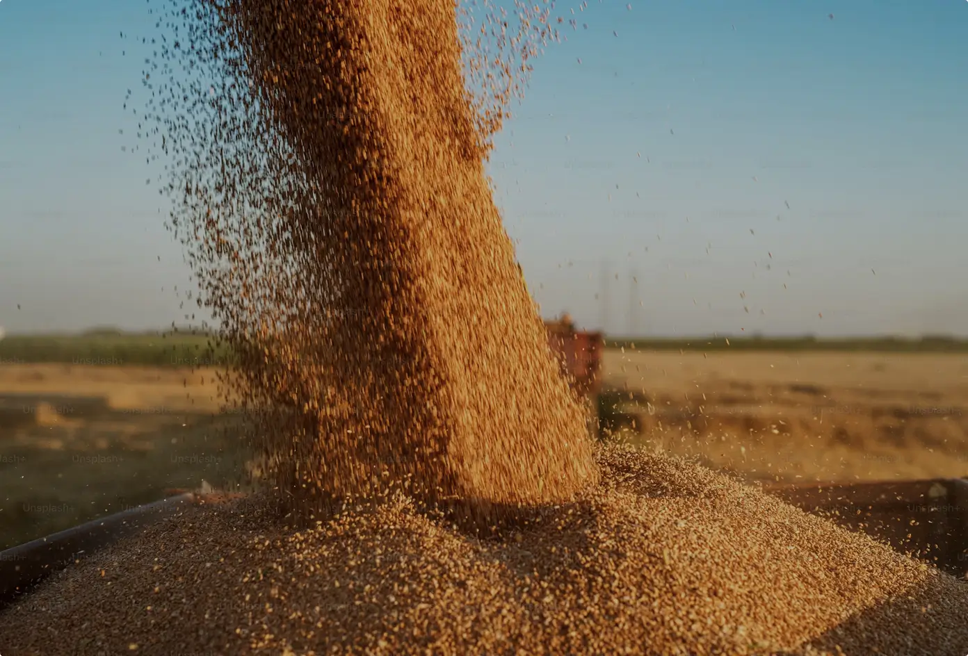 Dry Goods & Bulk Solids Solutions